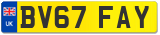 BV67 FAY