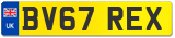BV67 REX
