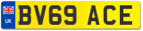 BV69 ACE
