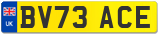 BV73 ACE