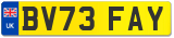 BV73 FAY