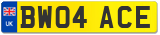 BW04 ACE