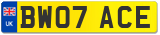 BW07 ACE