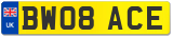 BW08 ACE