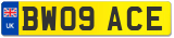 BW09 ACE