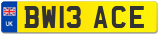 BW13 ACE