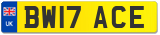 BW17 ACE