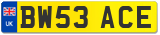 BW53 ACE