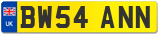 BW54 ANN