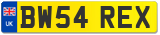 BW54 REX