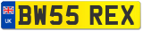 BW55 REX