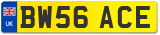 BW56 ACE