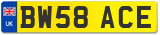 BW58 ACE