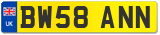 BW58 ANN