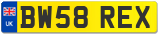 BW58 REX