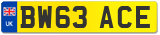 BW63 ACE