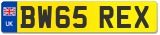 BW65 REX