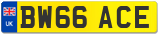 BW66 ACE