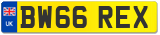 BW66 REX