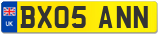 BX05 ANN