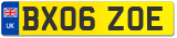 BX06 ZOE