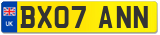 BX07 ANN