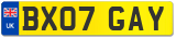 BX07 GAY