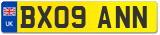 BX09 ANN