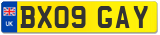 BX09 GAY