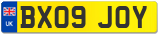 BX09 JOY