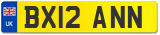 BX12 ANN