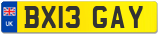 BX13 GAY