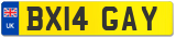 BX14 GAY