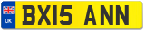 BX15 ANN