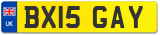 BX15 GAY