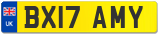 BX17 AMY