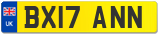 BX17 ANN