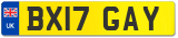 BX17 GAY