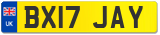 BX17 JAY