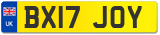 BX17 JOY