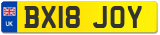 BX18 JOY