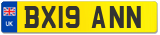 BX19 ANN