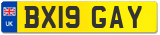 BX19 GAY