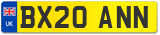 BX20 ANN