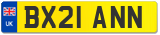 BX21 ANN