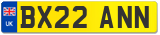 BX22 ANN