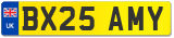 BX25 AMY
