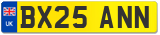 BX25 ANN