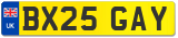BX25 GAY