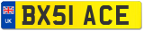 BX51 ACE